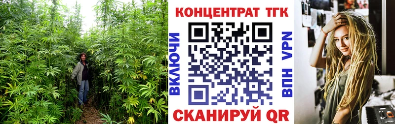 ТГК Wax  Воркута 